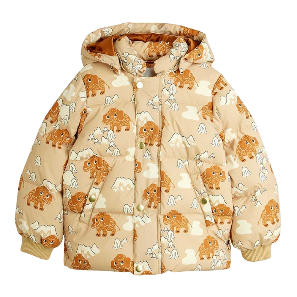 43e53d16985a5c4bb061d4883f4d10ec