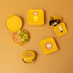 d58fd863750a7377cf67c4040cecdcd4