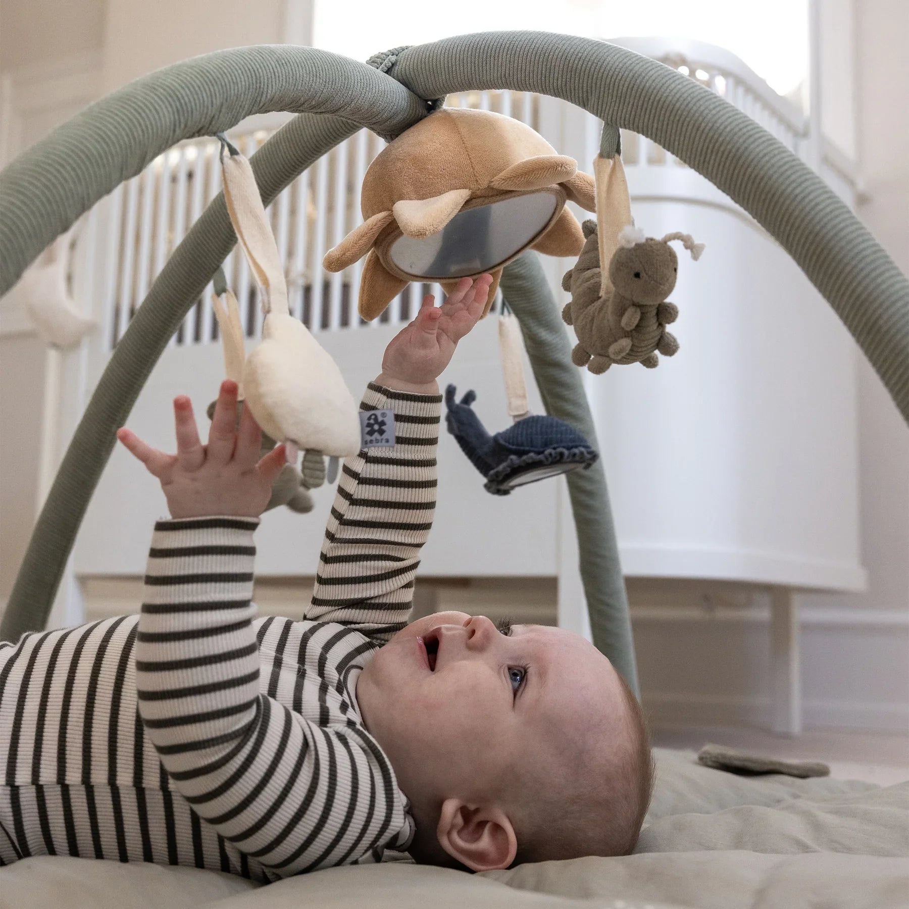 366e07ed65e3dba35d2fd94704013f44