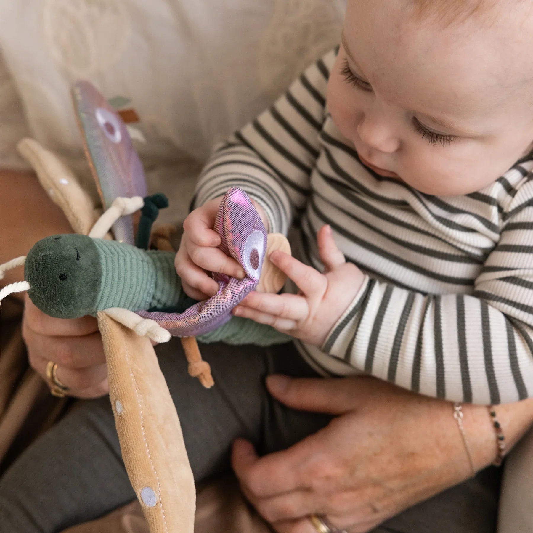 53e1b52768b64515271e3937a4ed15d5