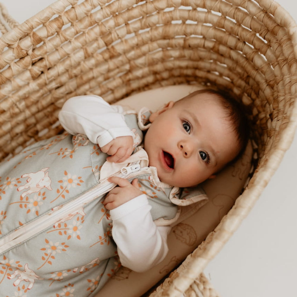 db856d0ff10ce9557c6f1a8e2fd01f2e