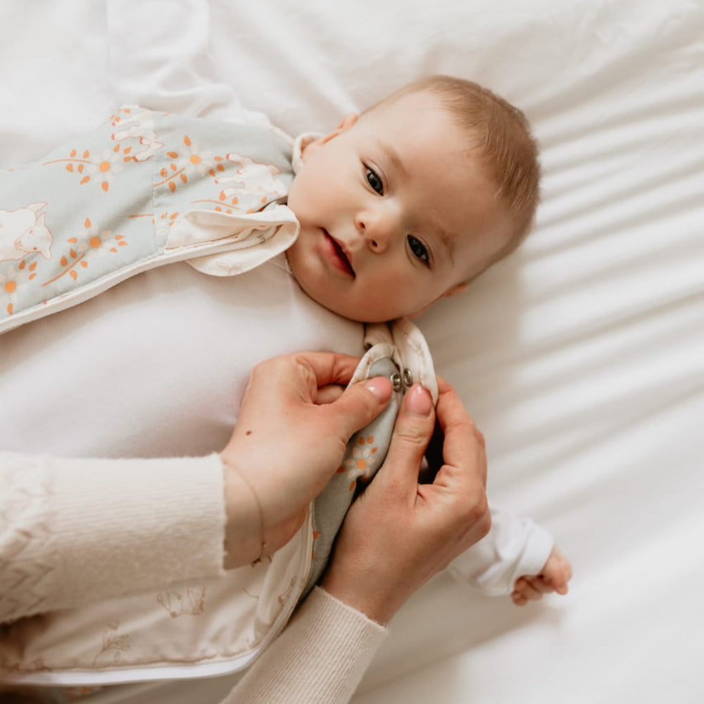 dd2790d232007a4a06c1ab2f230b26cb