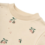 88689e86f7e074556bf8d9cc420ebb74