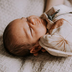 1a0801e8494b204fdf7a5c5f7647ad2a