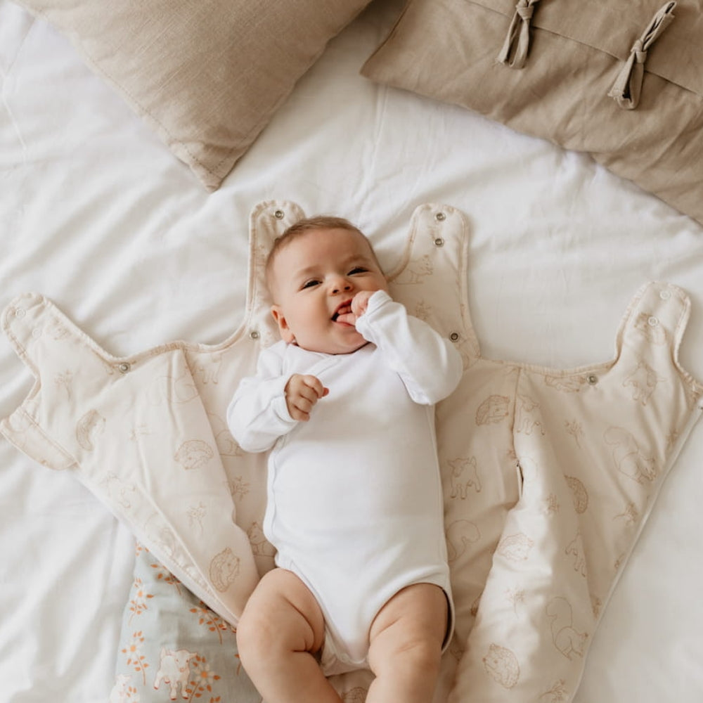 b67496e4b851295d27ac508426ce0772