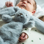 2c09c0b5a652661ff100964cf8949ff2