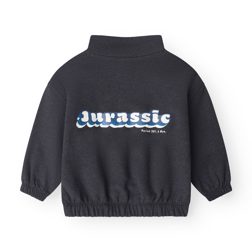 b3a14dc0d5255a7d97c1a7f1d329765c