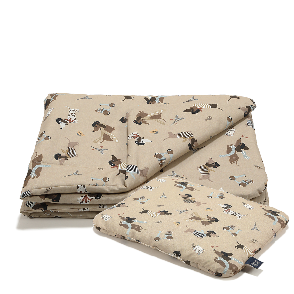 4c45eb96f62f9b3e2fdd9d21f1bdee33