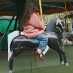 Imagen de diapositiva