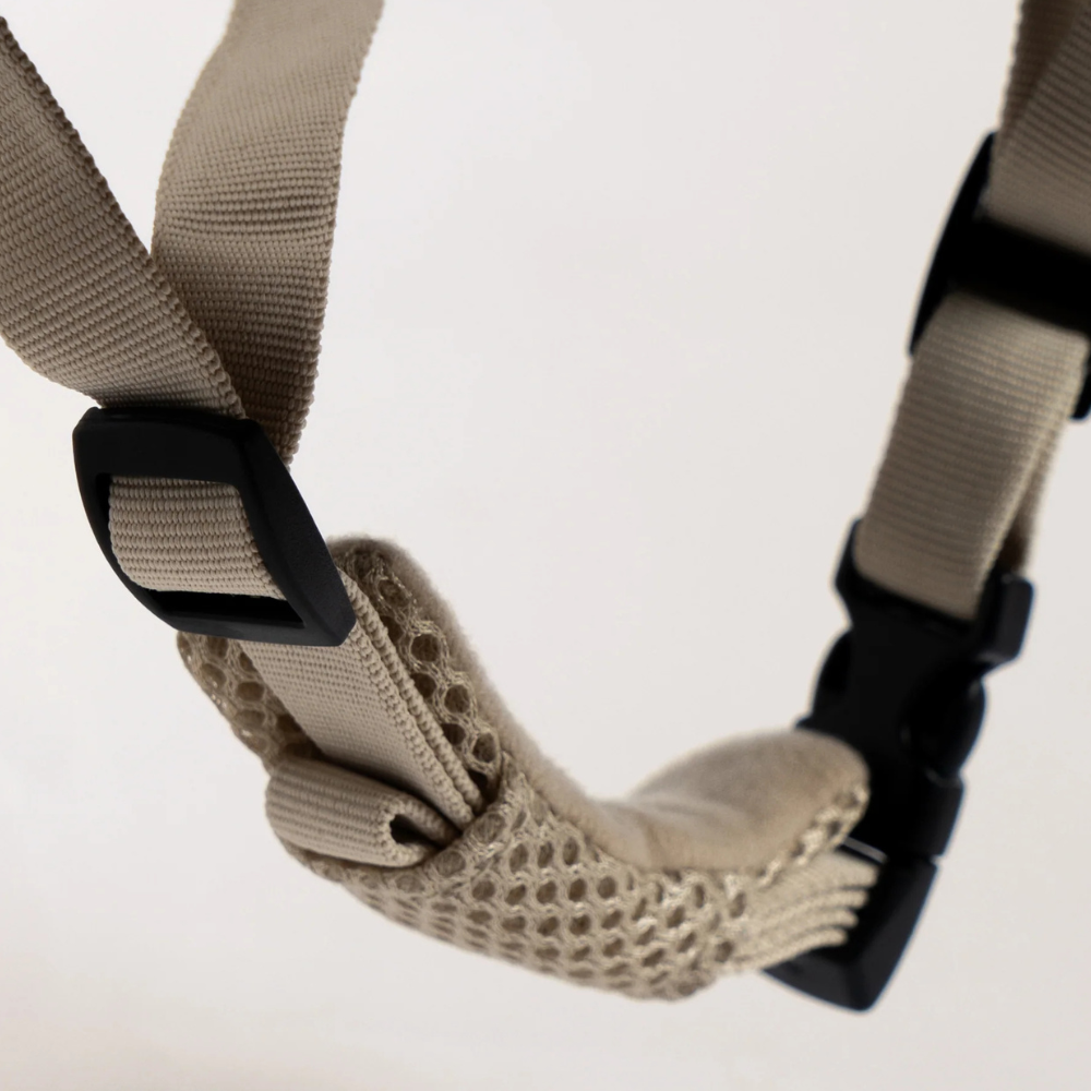 Imagen de diapositiva