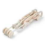 Imagen de diapositiva
