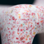 Imagen de diapositiva