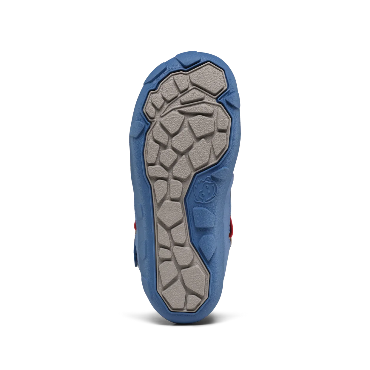 Imagen de diapositiva