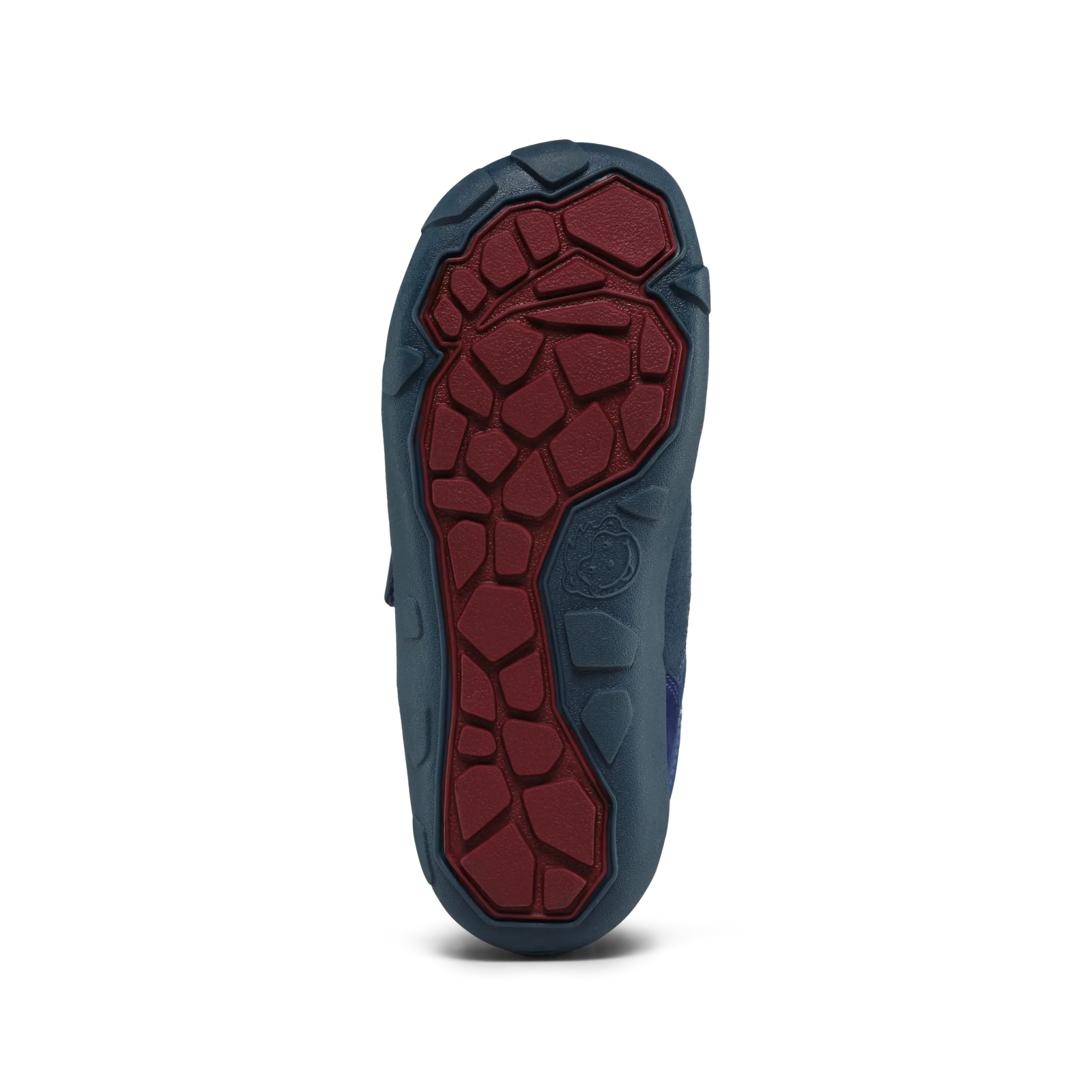 Imagen de diapositiva