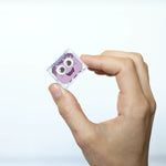 Imagen de diapositiva